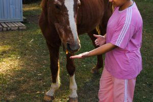 Foto mostra uma jovem do sexo feminino, trajando roupas rosas entregando pedaços de cenoura para um cavalo. O animal está próximo dela, tem uma listra branca em seu focinho é de cor marrom claro.